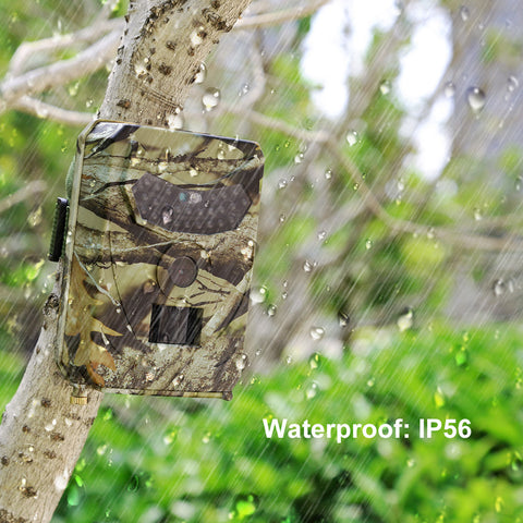 Infrared, Waterproof, Trail/Scouting Camera