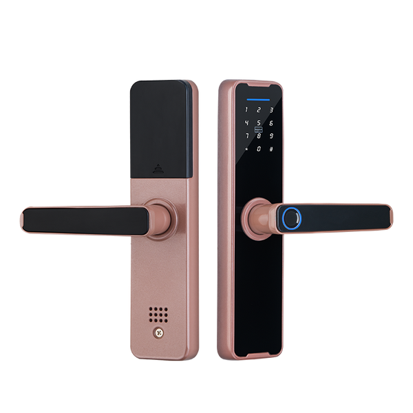 Smart Mortise Door Lock - 6 way Unlock | Bluetooth/WiFi - SL20 ...
