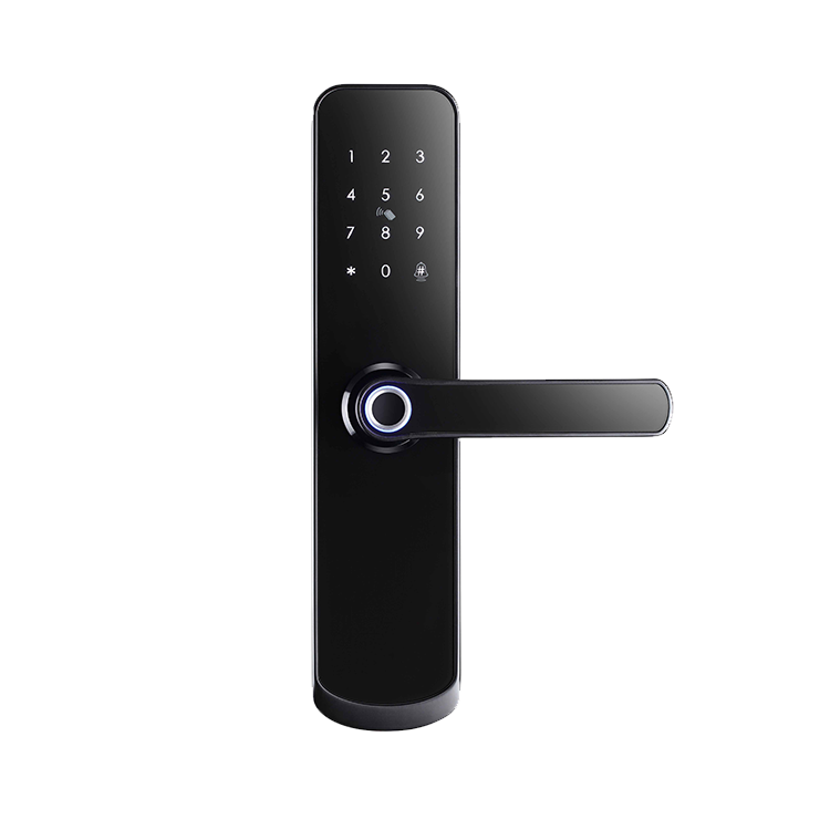Smart Fingerprint Door Lock – 5-in-1 Keyless Entry | App, Password, Card & Mechanical Key - SL5