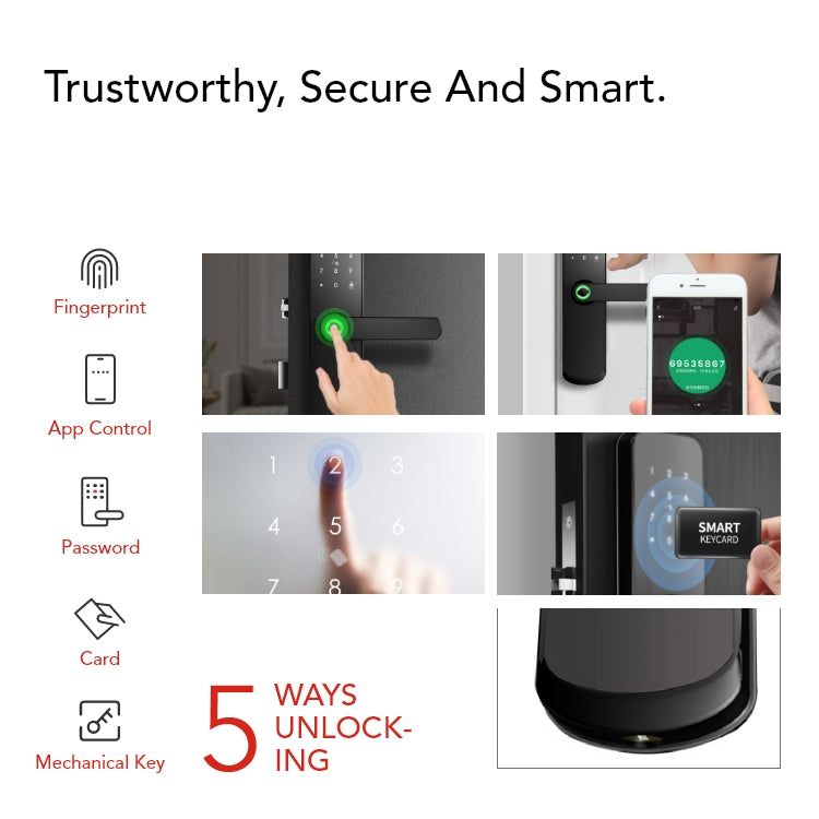 Smart Fingerprint Door Lock – 5-in-1 Keyless Entry | App, Password, Card & Mechanical Key - SL5