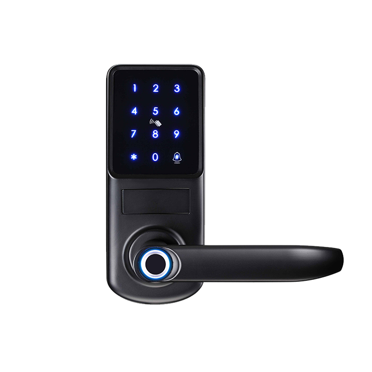Smart Fingerprint Door Lock – 5-in-1 Keyless Entry | Tuya App, Card, Passcode & Mechanical Key - SL6