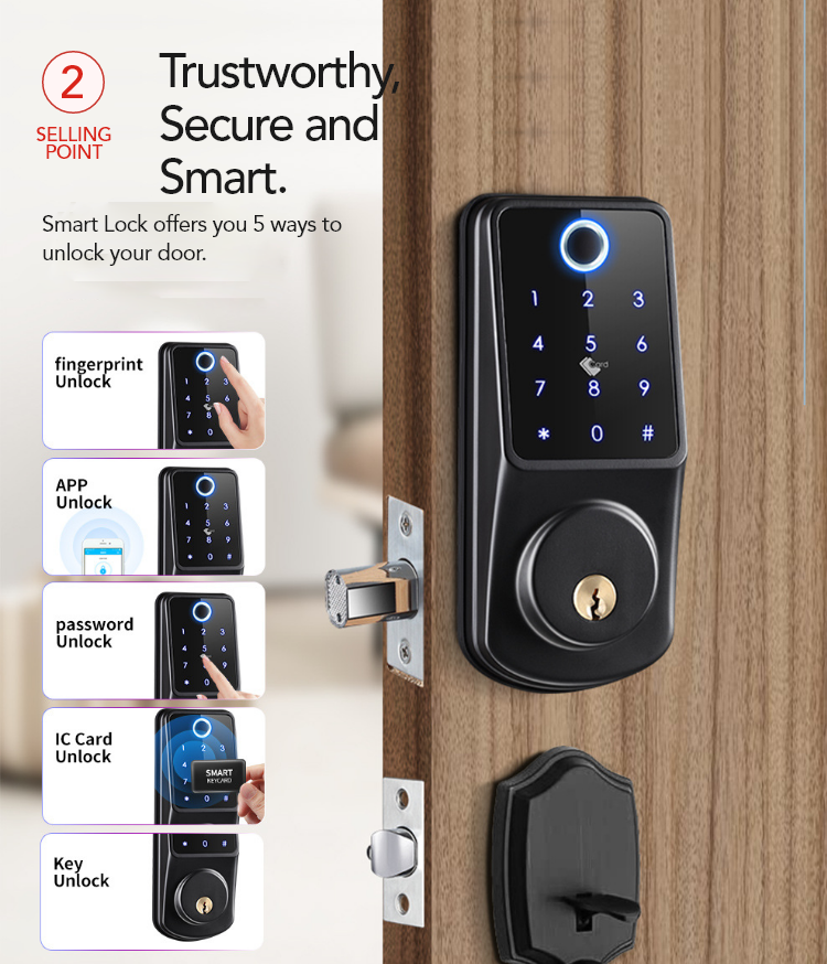 Smart Door Lock with Fingerprint, Keypad, Card & App Control – SL8
