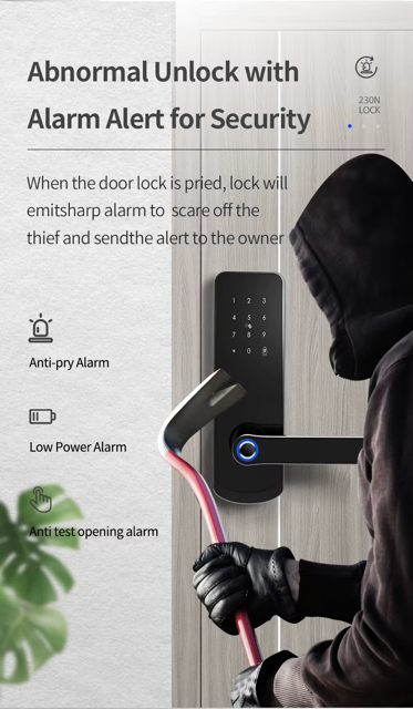 Wifi Smart Door Lock - Fingerprint | Keypad | Card | Tuya | Wifi build in | 5-Way Unlock | Anti-Tamper Alarm - FM230N