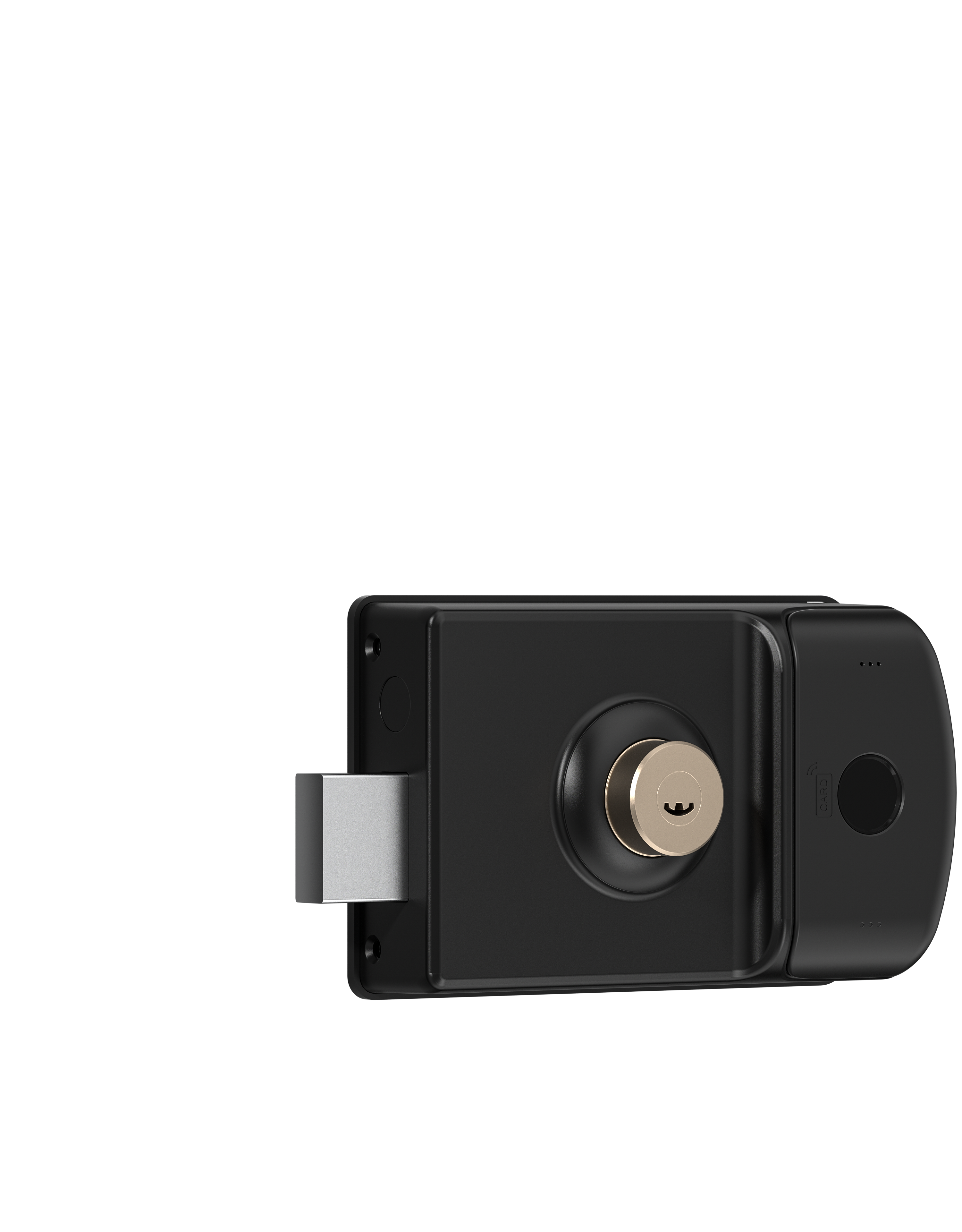 TTLock weatherproof smart rim lock TA-RL10 – view 12