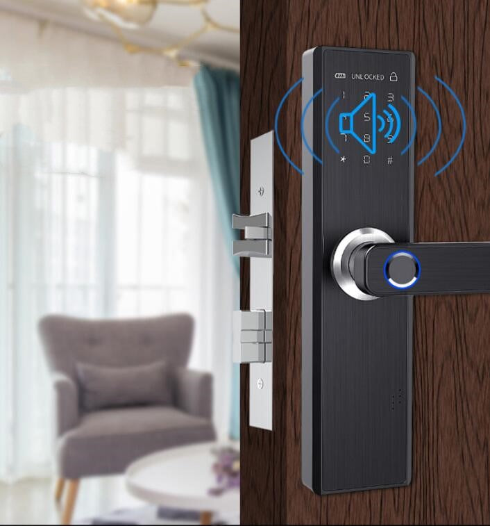 Smart Doorlock, Fingerprint, Passcode, IC, App & Wifi